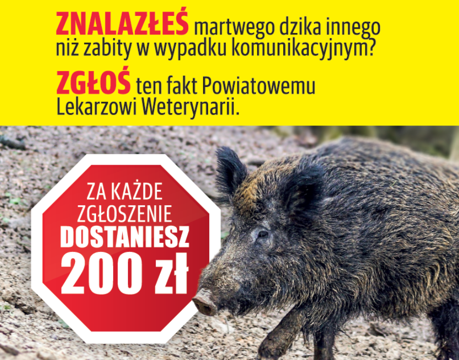 Akcja przeciw ASF