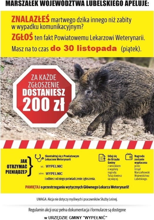 Trwa akcja samorządu województwa przeciw ASF!