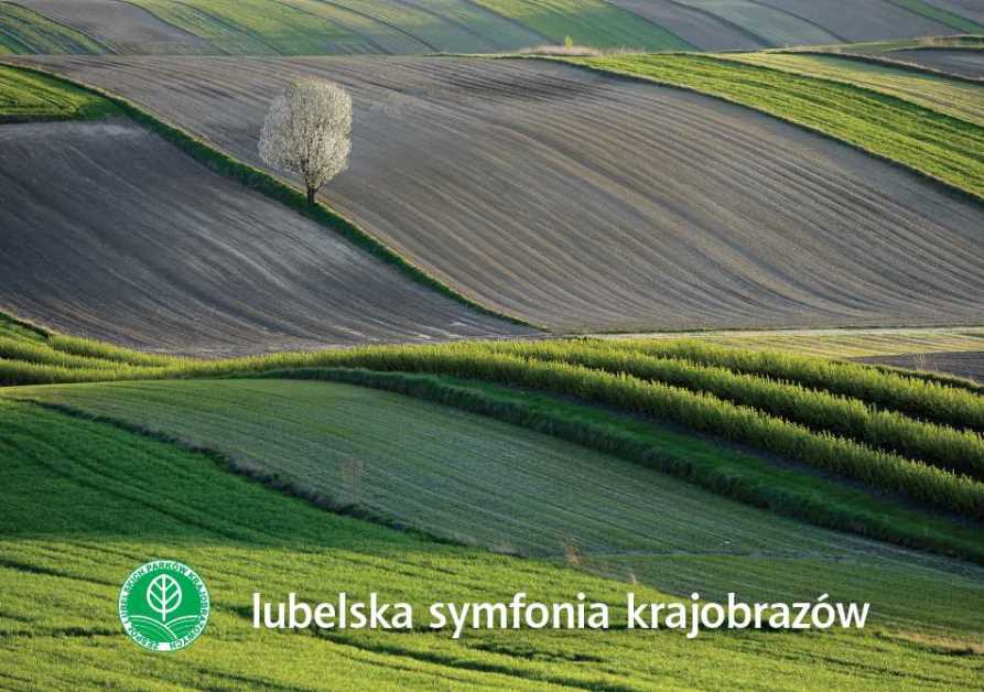 Album „Lubelska symfonia krajobrazów” nagrodzony!