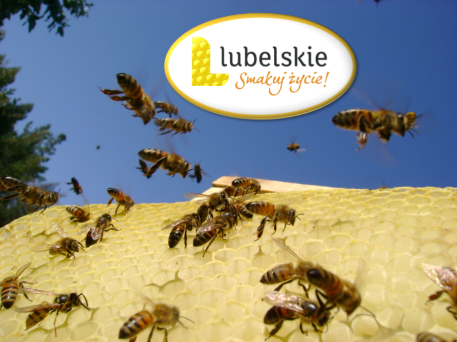 Zapraszamy na konferencję „Pszczelarstwo w województwie lubelskim”