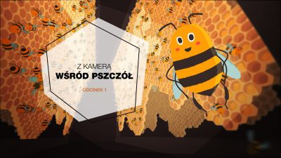 Obrazek zapowiadająca pierwszy odcinek serii z kamerą wśród pszczół. Komiksowa pszczoła na tle plastra miodu.