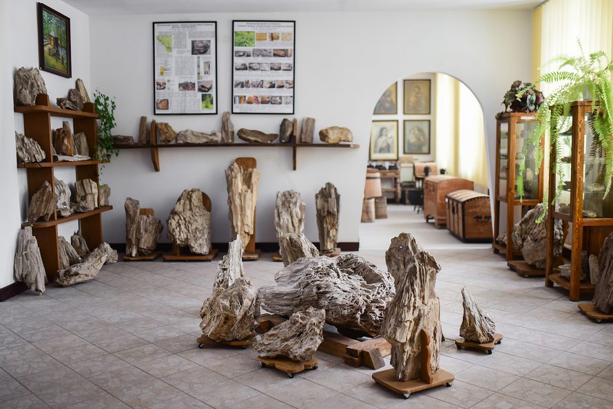 Zdjęcie przedstawiające salę muzealną z ułożonymi na podłodze eksponatami skamieniałych drzew