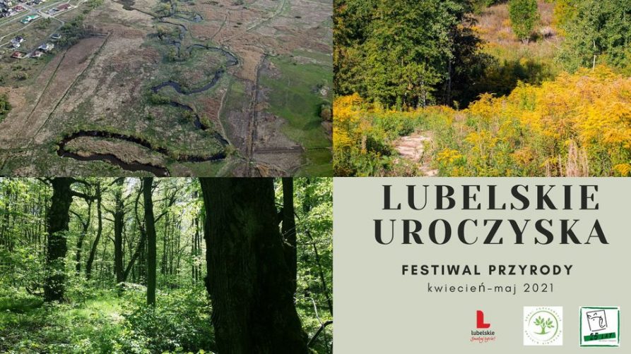 Zdjęcie składające się z trzech róznych zdjęć ukazujacych tereny lesne. W prawej dolnej czesci napis: Lubelskie Uroczyska Festiwal Przyrody kwiecień-maj 2021