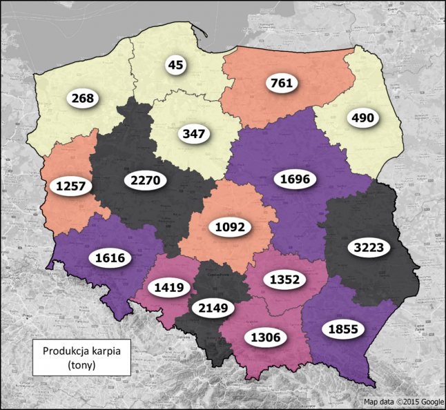 Mapa - Produkcja handlowego karpia w poszczególnych województwach