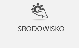 Środowisko