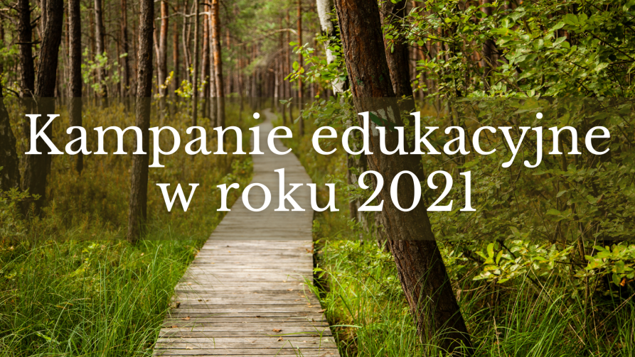 Zdjęcie ścieżki drewnianej w lesie. Napis Kampnaie edukacyjne w roku 2021