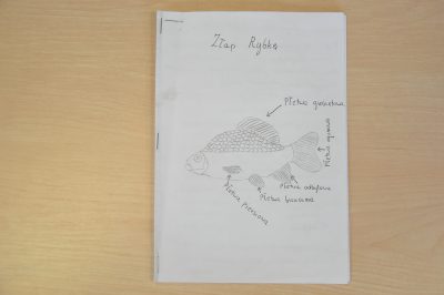 Książeczka z rybą na okładce, oznaczenia anatomiczne części ryby