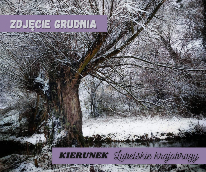 Wierzba nad wąskim strumieniem w zimowym krajobrazie - wszystko jest przyprószone niewielką warstwą śniegu. Na górze napis: "zdjęcie grudnia", na dole napis: "KIERUNEK Lubelskie krajobrazy"