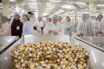 Wizyta w Fabryce Cukierków Pszczółka - linia produkcyjna