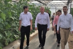 Wizyta w Bazie Rolniczej Henańskiej Akademii Rolniczej
