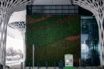 Wysoka ściana dworca, która jest pokryta mchem i zielenią, to nowoczesna aranżacja mająca charakter ekologiczny