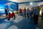 Około dziesięciu osób przygląda się wystawie szkieletów zwierząt polarnych