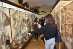 Dodatkową atrakcją było zwiedzanie Wydziałowej Pracowni Edukacyjnej i Środowiskowej z Muzeum Zoologicznym UMCS
