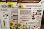 Tablice edukacyjne o pszczelej tematyce za chwilę zawisną w trzech szkołach w: Hrubieszowie, Wierzbicy i Bukowie Wielkiej