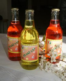 Oranżada z Kąkolewnicy