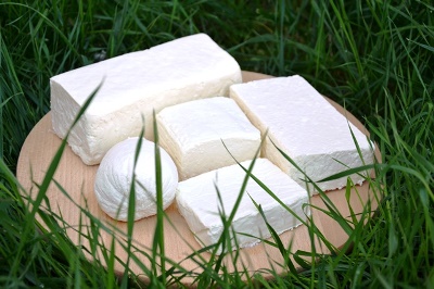 Twaróg nadwiślański