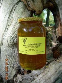 nadwieprzański miód lipowy