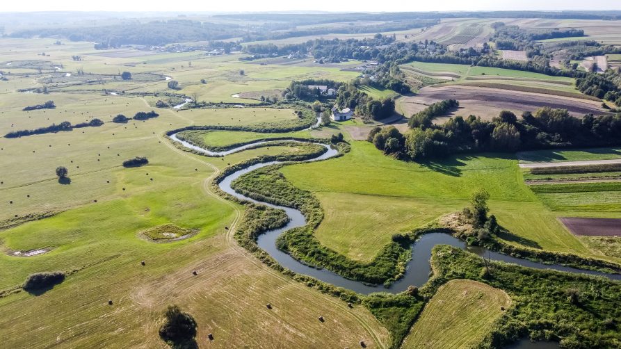 widok z lotu ptaka na koryto rzeki położne wśród pól i łąk