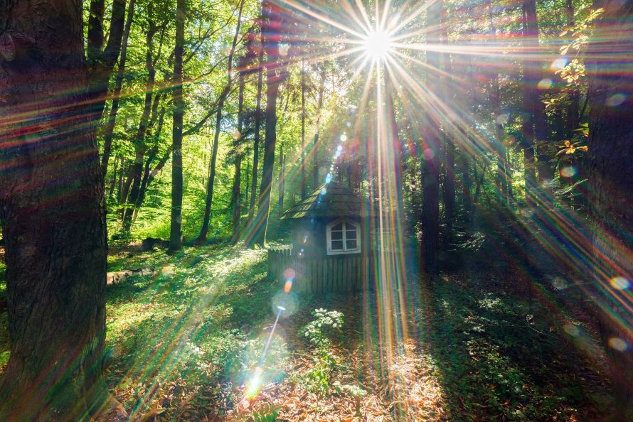 Miejce drugie a ktegorii Roztoczański Park Narodowy