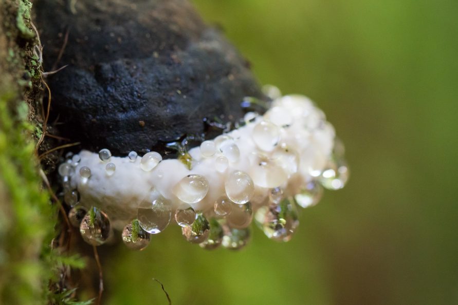 Miejce trzecie w kategorii Roztoczański Park Narodowy