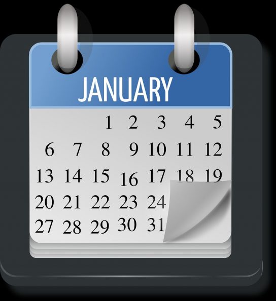 graficzne przedstawiony kalnedarz. napis po angielsku january