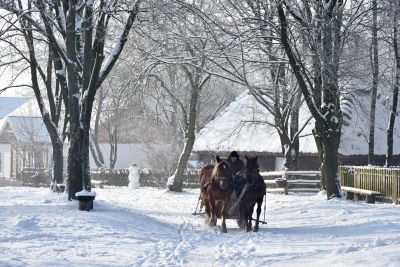 zaśnieżona droga, sanie zaprzężone w dwa konie