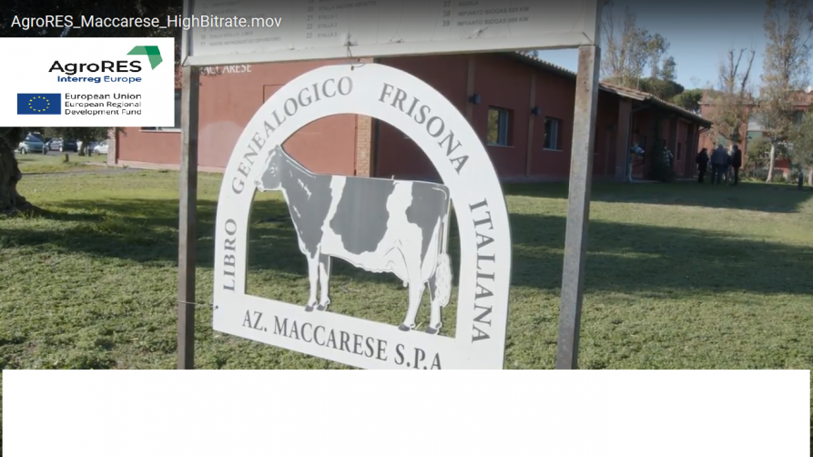 szyld przedstawiający nazwę firmy Maccarese oraz wizerunek krowy