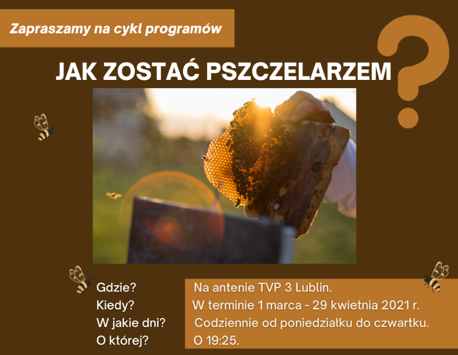 Infografika przedstawia zdjęcie plastra miodu trzymanego przez pszczelarza, przez który przebija słońce. Na górze jest napis: Zapraszamy na cykl programów "Jak zostać pszczelarzem?", a na dole pod zdjęciem informacje o terminie emisji