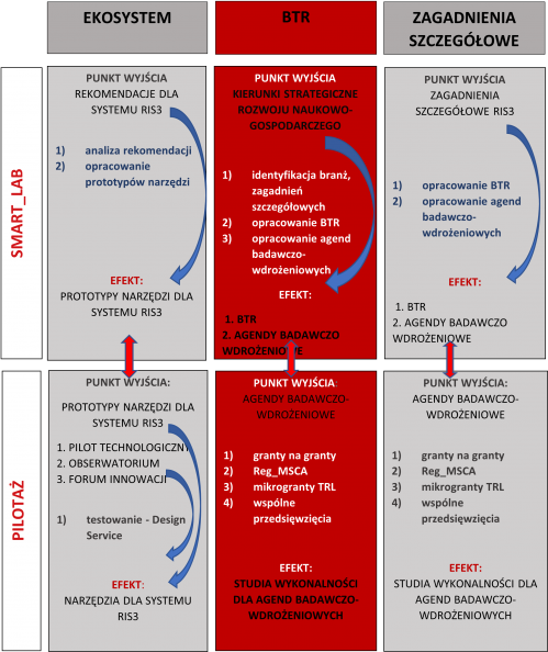 Schemat autorskiego modelu Procesu Przedsiębiorczego Odkrywania stosowany w województwie lubelskim pod nazwą Regionalnego Laboratorium Innowacji