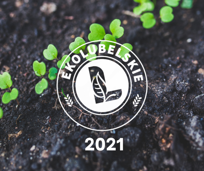 Logo konkursu ekolubelskie na tle ziemi