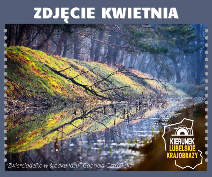 Na górze napis zdjęcie kwietnia, poniżej zwycięskie zdjęcie. Na zdjęciu Małe jeziorko w środku lasu. Rosnące na brzegu zielone drzewa, krzewy i trawa odbijają się w tafli wody. Logo konkursu fotograficznego, oraz napis Zwierciadełko w środku lasu Gabriela Ostrowska