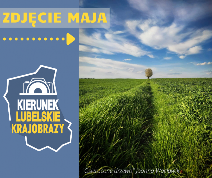 Jedno kwitnące drzewo wśród zielonych pół. W tle błękitne niebo i chmury. Po lewej logo konkursu fotograficznego