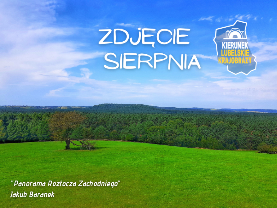 Na banarze umieszczone jest zdjęcie sierpnia obrazujące widok z wieży widokowej na trawiastą łąkę, samotne drzewo i ścianę lasu w głębi. na zdjęciu