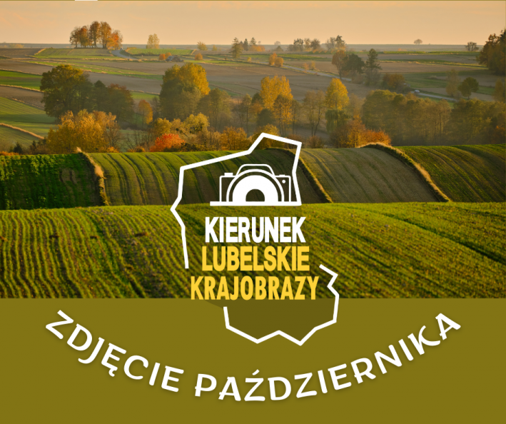 Ilustracja do tekstu przedstawia w tle zdjęcie października, czyli pofałdowane wstążki pól poprzetykane kępami drzew zrobione jesienią w pogodny dzień w porze popołudniowej. Na pierwszym planie nad zdjęciem umieszczone jest logo akcji, czyli napis "Kierunek lubelskie krajobrazy" w ramce uosabiającej granicę województwa. Nad tekstem, nadal w ramce, widnieje ikona aparatu fotograficznego. Pod zdjęciem na zielonym tle widnieje napis "Zdjęcie października".