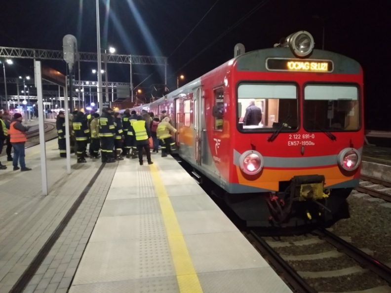 Pociąg stojący na torach oraz osoby znajdujące się na peronie wsiadające do niego