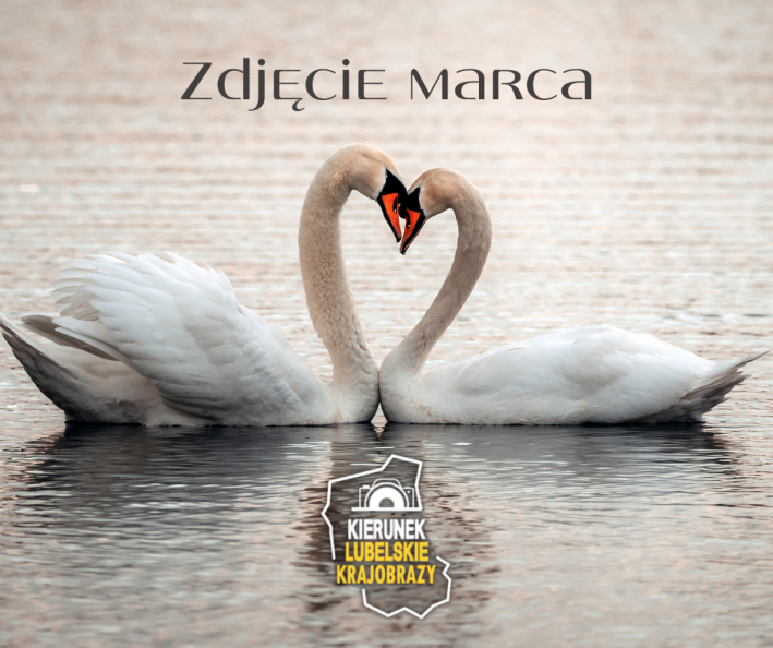 Zdjęcie marca wybrane