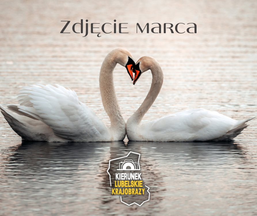 Zdjęcie marca wybrane