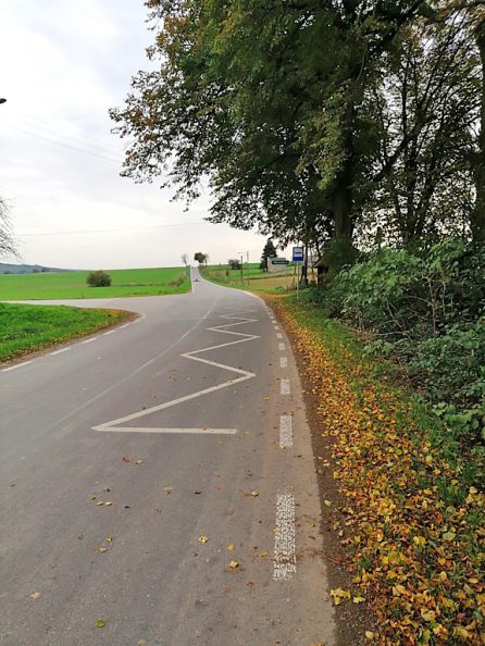 skrzyżowanie nowych dróg pomiędzy polami wraz z przystankiem autobusowym pod drzewem