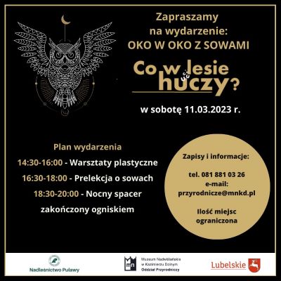 czarny plakat wydarzenia Oko w oko z sowami