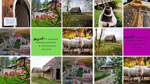 kolaż ze zdjęć przedstawiających atrakcje muzeum nadwiślańskiego
