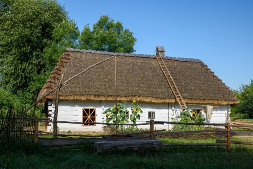 Widok na wiejską chałupę kryta strzechą w pełni lata