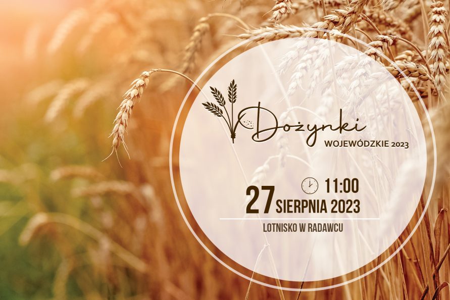 Dojrzałe kłosy zboża i napis Dożynki wojewódzkie 2023 27 sierpnia 2023 Lotnisko w Radawcu