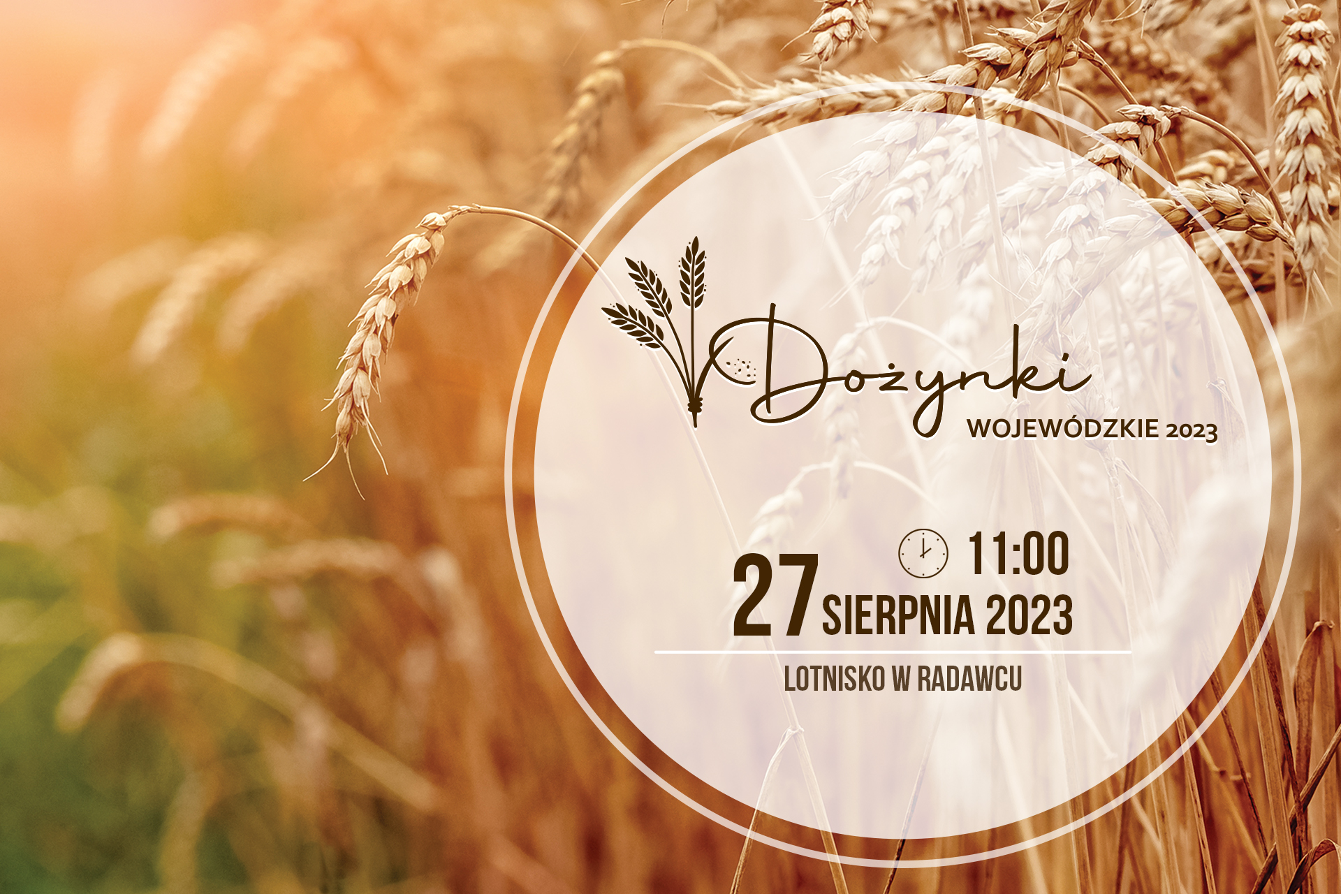 Dojrzałe kłosy zboża i napis Dożynki wojewódzkie 2023 27 sierpnia 2023 Lotnisko w Radawcu