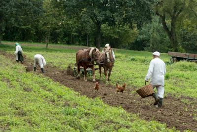 grupa ludzi w białych strojach podczas wykopek