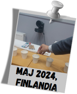 Zdjęcie prezentujące ćwiczenie podczas warsztatów na spotkaniu partnerów REC4EU