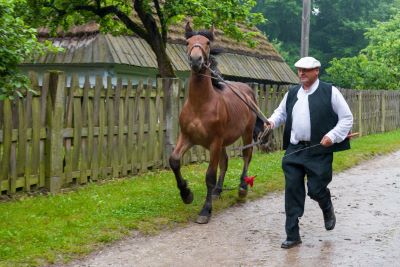 mężczyzna prowadzący konia