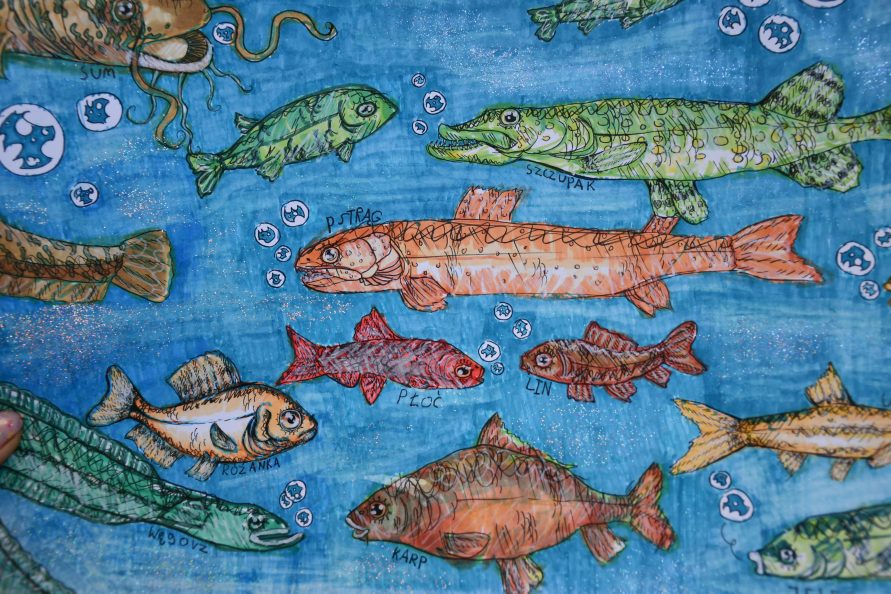 Praca konkursowa na której widoczne są różne gatunki ryb.