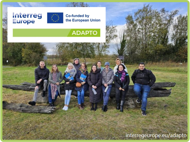 Uczestnicy spotkania w Irlandii w ramach Projektu ADAPTO siedzą wśród malowniczej scenerii na dużym konarze drzewa