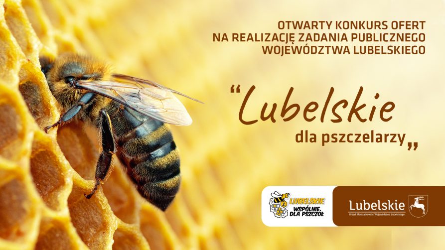 Pszczoła na plastrze miodu i napis Lubelskie dla pszczelarzy