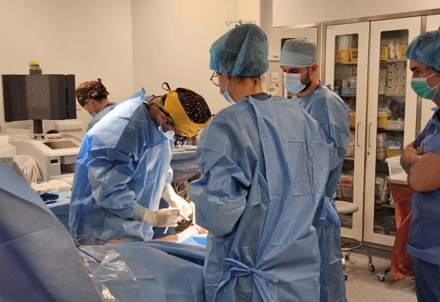 Lekarze chirurdzy podczas operacji